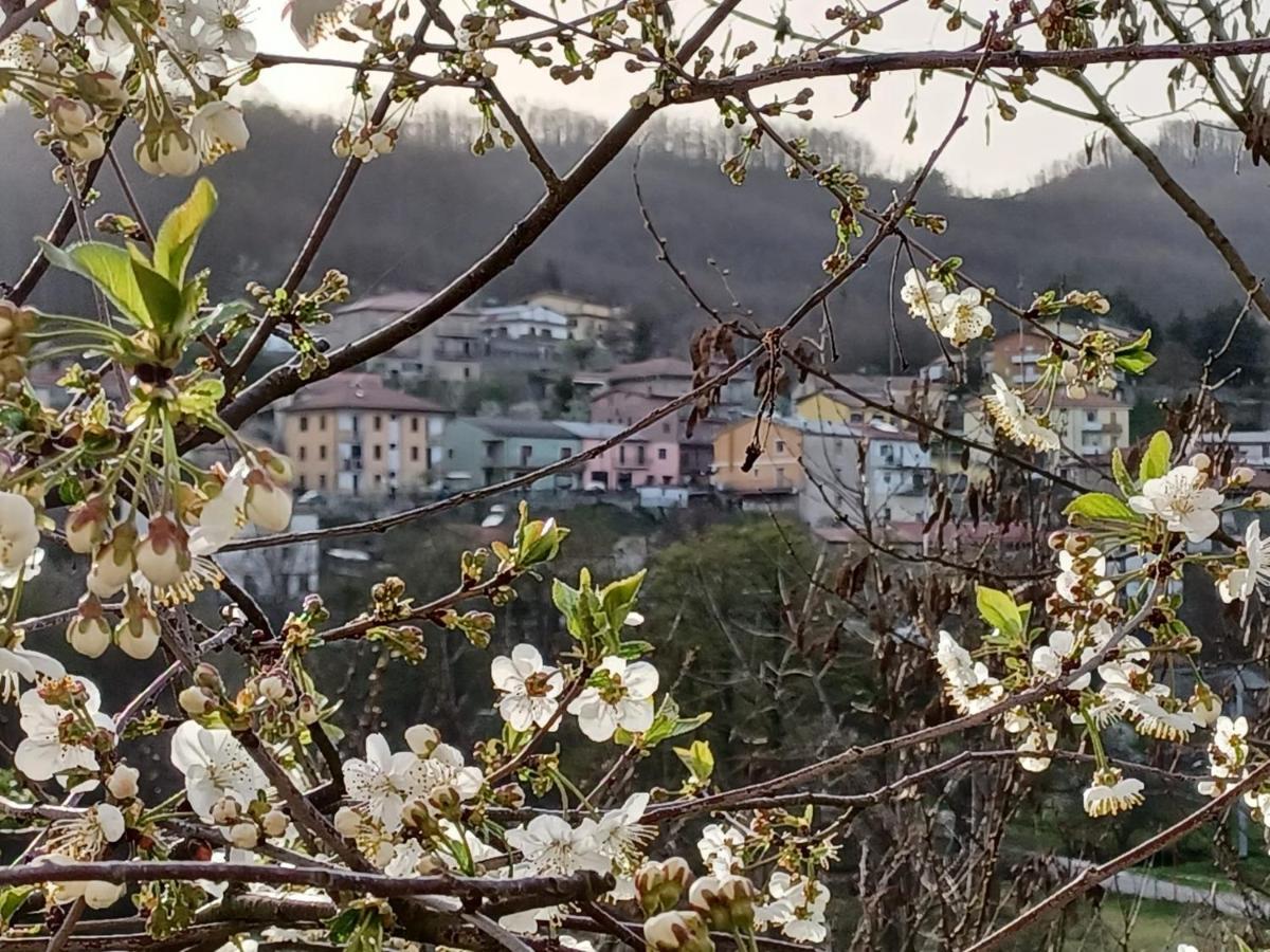 Casa panoramica tra mare e montagna alle pendici della Sila Bianchi Esterno foto